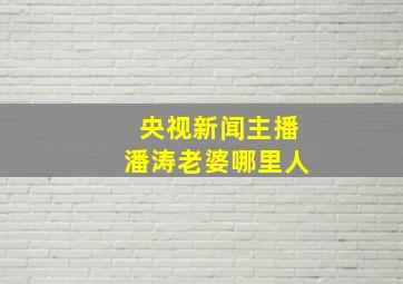 央视新闻主播潘涛老婆哪里人