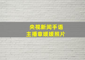 央视新闻手语主播章媛媛照片