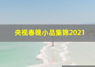 央视春晚小品集锦2021