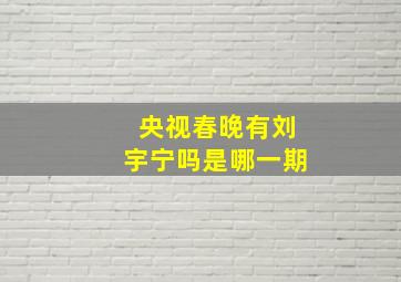 央视春晚有刘宇宁吗是哪一期