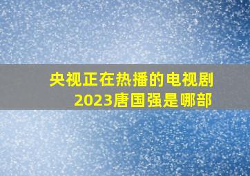 央视正在热播的电视剧2023唐国强是哪部