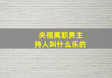 央视离职男主持人叫什么乐的