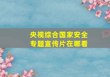 央视综合国家安全专题宣传片在哪看