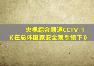 央视综合频道CCTV-1《在总体国家安全观引领下》