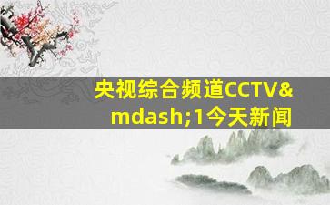 央视综合频道CCTV—1今天新闻