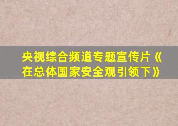 央视综合频道专题宣传片《在总体国家安全观引领下》