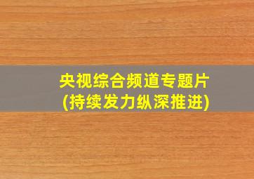 央视综合频道专题片(持续发力纵深推进)