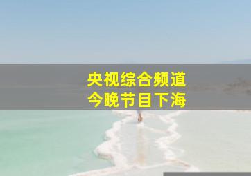 央视综合频道今晚节目下海