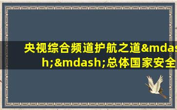 央视综合频道护航之道——总体国家安全观纵横