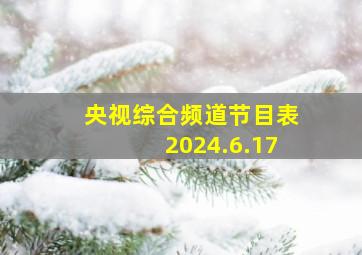 央视综合频道节目表2024.6.17