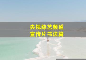 央视综艺频道宣传片书法篇