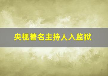 央视著名主持人入监狱