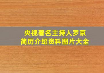 央视著名主持人罗京简历介绍资料图片大全