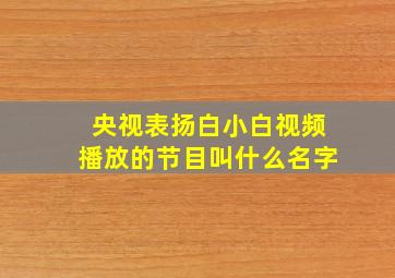 央视表扬白小白视频播放的节目叫什么名字