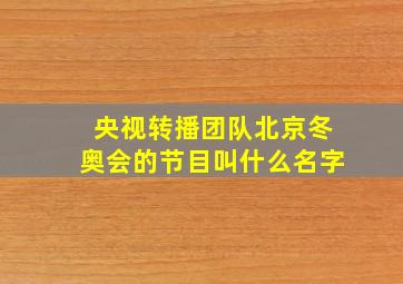 央视转播团队北京冬奥会的节目叫什么名字