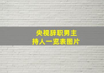 央视辞职男主持人一览表图片