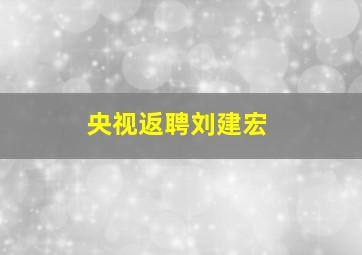 央视返聘刘建宏