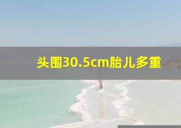 头围30.5cm胎儿多重