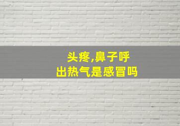 头疼,鼻子呼出热气是感冒吗