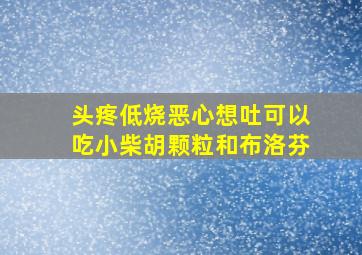 头疼低烧恶心想吐可以吃小柴胡颗粒和布洛芬