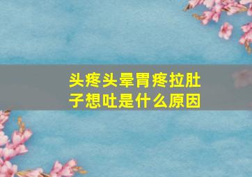 头疼头晕胃疼拉肚子想吐是什么原因