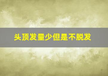 头顶发量少但是不脱发