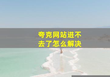 夸克网站进不去了怎么解决