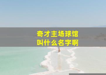 奇才主场球馆叫什么名字啊