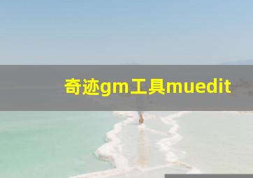 奇迹gm工具muedit