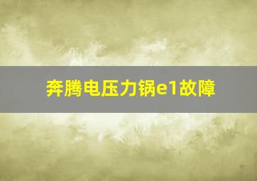 奔腾电压力锅e1故障