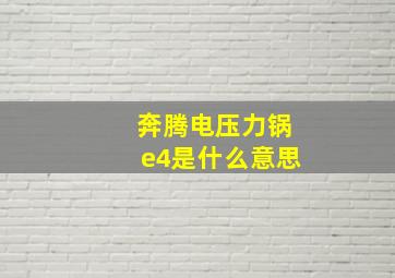 奔腾电压力锅e4是什么意思