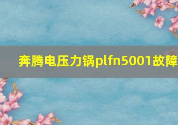 奔腾电压力锅plfn5001故障