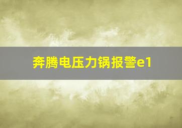 奔腾电压力锅报警e1