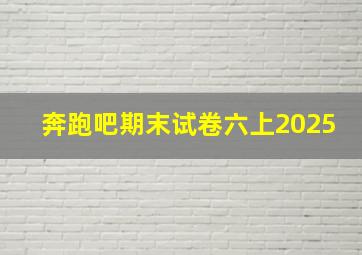 奔跑吧期末试卷六上2025