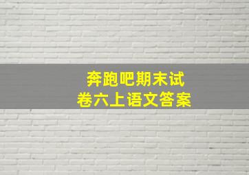 奔跑吧期末试卷六上语文答案