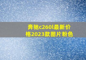 奔驰c260l最新价格2023款图片粉色