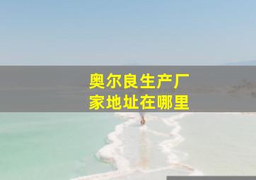 奥尔良生产厂家地址在哪里