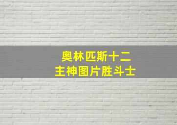 奥林匹斯十二主神图片胜斗士