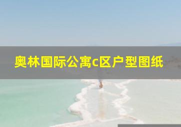 奥林国际公寓c区户型图纸