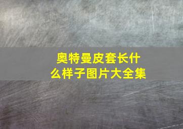 奥特曼皮套长什么样子图片大全集