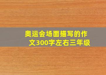 奥运会场面描写的作文300字左右三年级