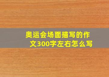 奥运会场面描写的作文300字左右怎么写