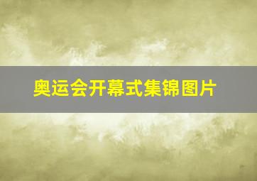 奥运会开幕式集锦图片