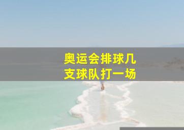 奥运会排球几支球队打一场