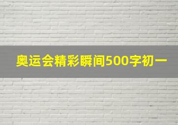 奥运会精彩瞬间500字初一