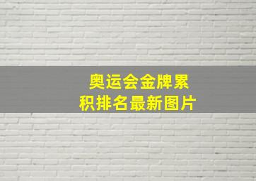 奥运会金牌累积排名最新图片