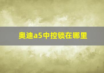 奥迪a5中控锁在哪里