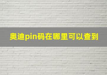 奥迪pin码在哪里可以查到