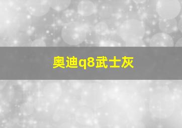 奥迪q8武士灰