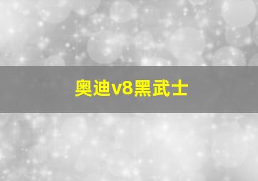 奥迪v8黑武士